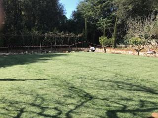 Lawn turf installation