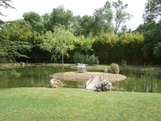 Bassin d'extérieur et création d'étang de jardin