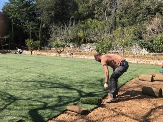Lawn turf installation