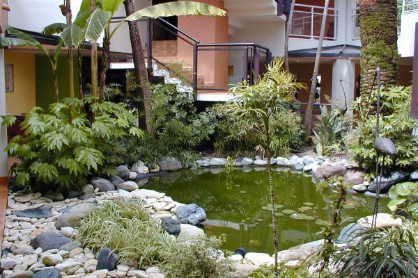 Création de bassin aquatique pour jardin