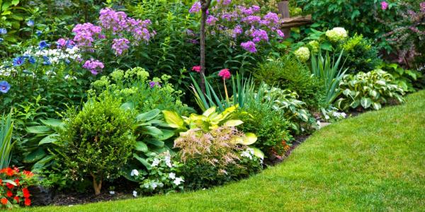 Designing and landscaping an ecological and sustainable garden 