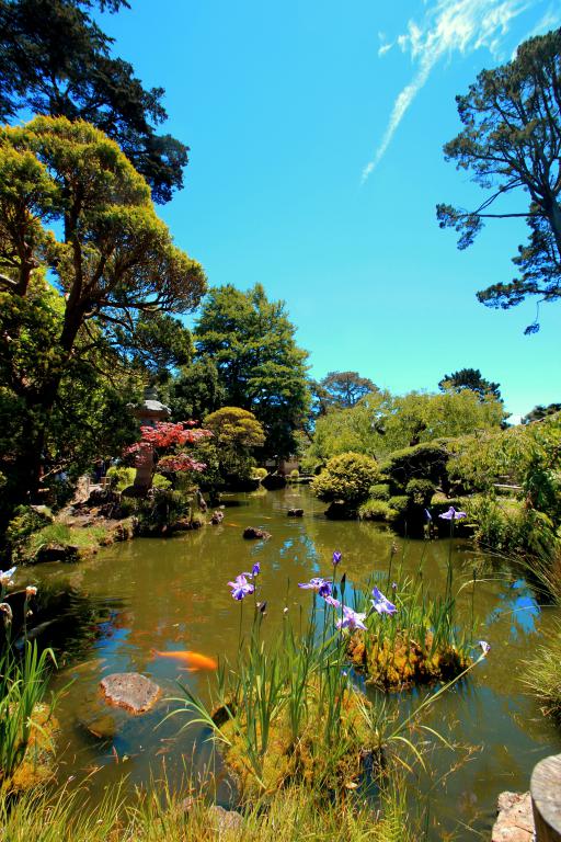 Natural pond - Custom garden pond - Exo Jardins - Nice - Cannes - Antibes - Theoule-sur-mer 